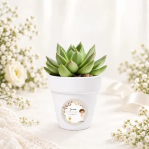 Maceta con semillas de cactus personalizada de comunión, diseño Niño beige